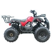 Tao Tao T Force 125 cc ATV Reverse and Big 19 18 Tires Utility Model Carb