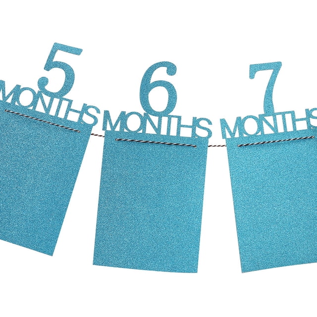 Weloille Kids Birthday Gift Decorations 1-12 Month Photo Banner Monthly Photo Wall