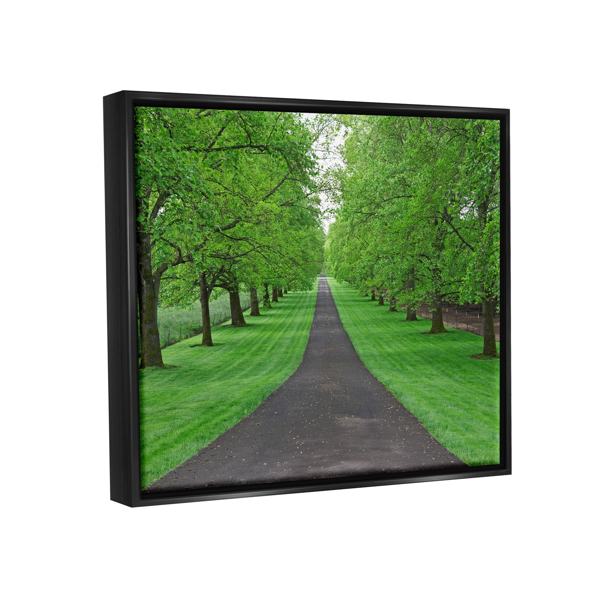 Stupell Industries Tree Grove Path Landscape Nature Photography Black Floater Framed Art Print Wall Art, 31 x 25