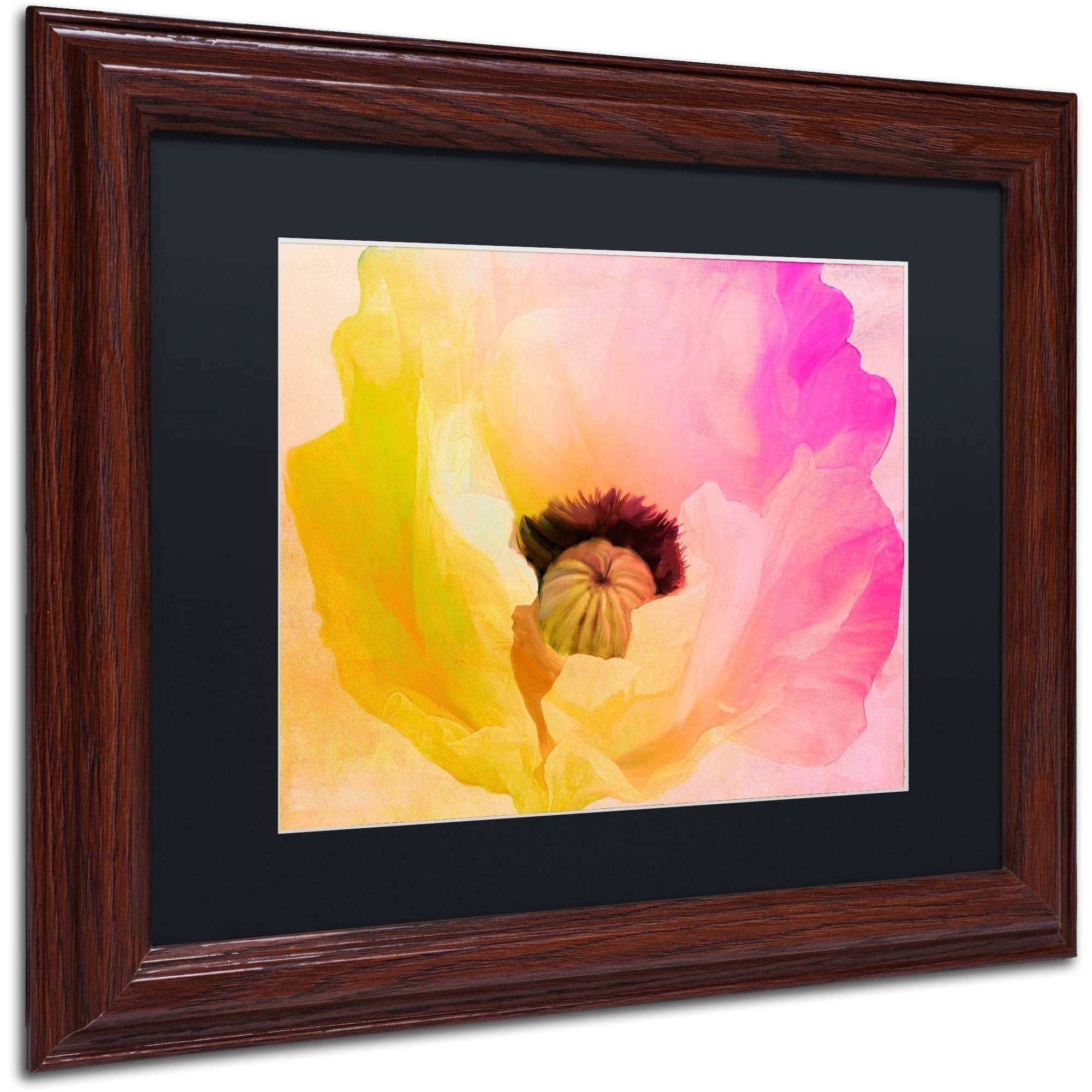 Trademark Fine Art "Poppy Gradient II" Canvas Art by Color Bakery Black Matte, Wood Frame