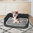 thumbnail image 3 of Mesh Dog Toilet Pet Training with Protection Wall Every Side No Litter Pan Puppy Training Tray Pee Pad Holder Indoor Dog Potty Tray Black, 3 of 7