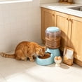 thumbnail image 6 of Large Automatic Pet Feeder Food Dispenser for Cats Dogs, 6 of 6