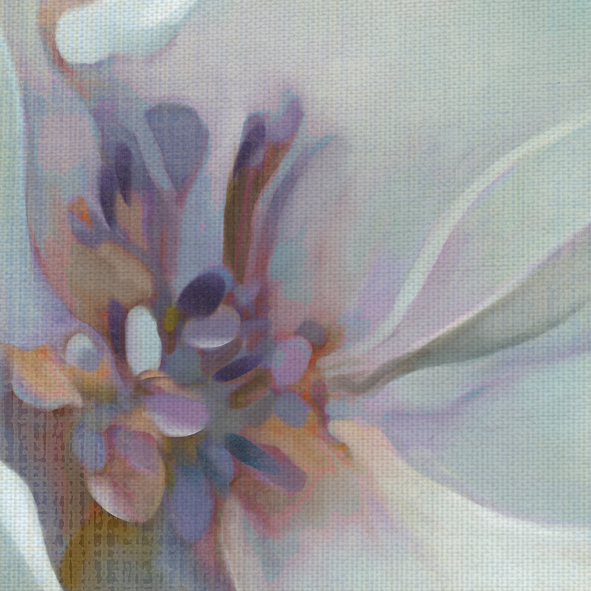 Masterpiece Art Gallery Iridescent Bloom I White Flower By Carol Robinson Canvas Art Print 30" x 30"