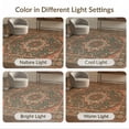 thumbnail image 7 of ODIKA 2'x3' Washable Doormat Vintage Abstract Distressed Scrollwork Medallion Terracotta Border for Entryway, Kitchen, Laundry Room, Non-Slip, Low Pile, 7 of 7
