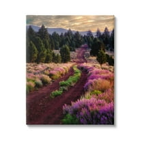 Stupell Industries Pink Blooming Meadow Landscape Landscape Photography Gallery Wrapped Canvas Print Wall Art