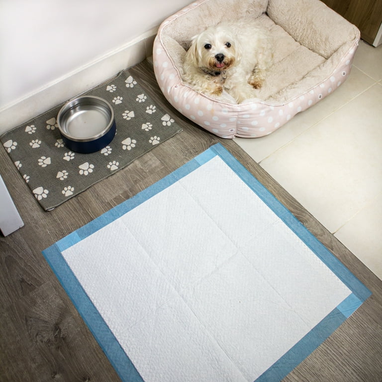 Magic Pads, Indoor Pet Training Pads, Maximum Absorbency, x