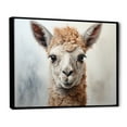 thumbnail image 2 of Designart "Alpaca Portrait Beige II" Animals Floater Framed Wall Art Print, 2 of 7