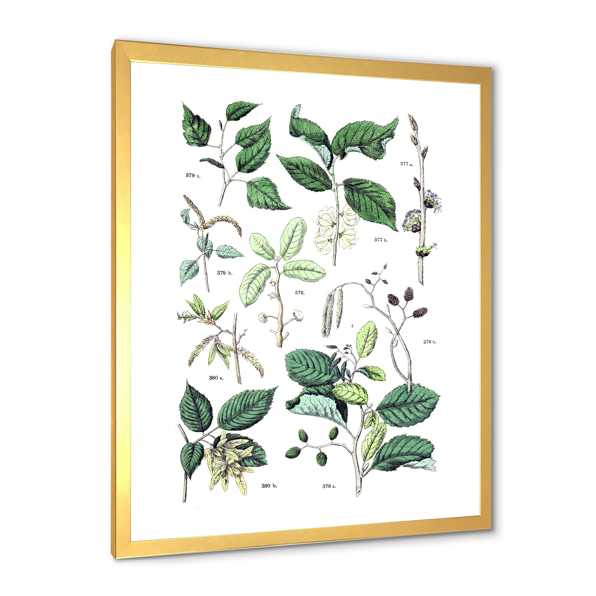 Designart 'Ancient Botanicals VIII' Traditional Framed Art Print