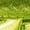 Mint Green, variant on Womens Underwear Breathable Comfortable Panties Metallic Pajamas Leather Performance Mini Skirt Clubwear Blend Underwear for Women