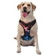 thumbnail image 1 of Balery Red And Blue Lightning Arnés para Perros Grandes Antitirones, Arnés con Correa para Gato, Arnés Tipo Chaleco para Perros Pequeños-Large, 1 of 6