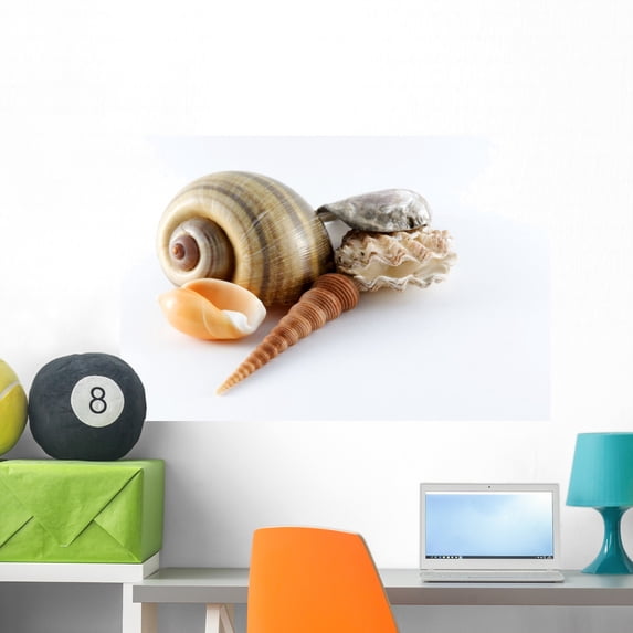 Seashells Wall Mural Decal Sticker, Wallmonkeys Peel & Stick Vinyl Graphic (36 in W x 27 in H)