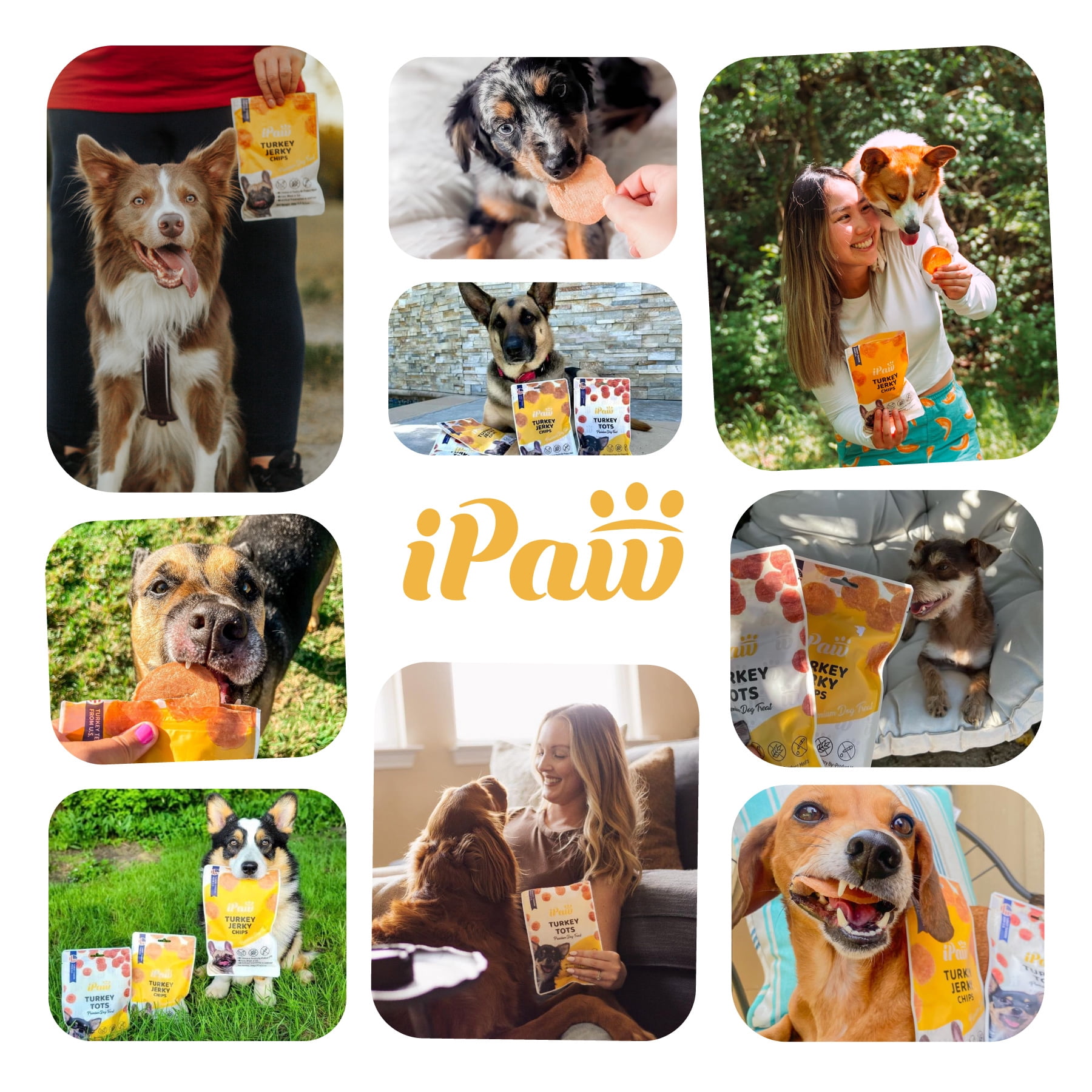 iPaw Dog Treats for Puppy Training, All Natural Human Grade Dog Treat, Hypoallergenic, Easy to Digest (Chicken Tots), 3 Packs