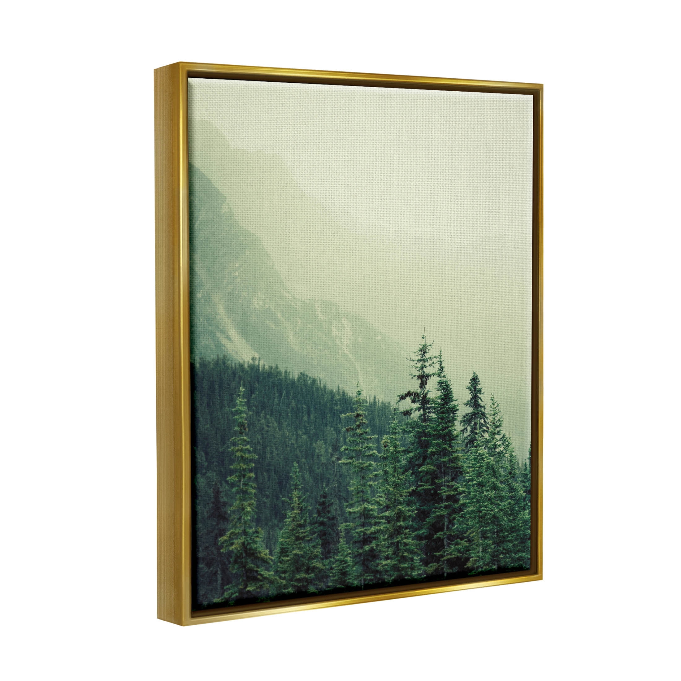 Overlooking Mountains Nature Landscape Photograph Metallic Gold Framed Art Print Wall Art