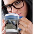thumbnail image 2 of 3drose, Large Seashells Found on the Beautiful Belmar Beach in New Jersey, 15oz Two-tone Blue Mug, 2 of 6