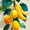 Banana, variant on Retro Banana Fruit Quote Canvas Neutral Playroom Kids Room Wall Decor Print