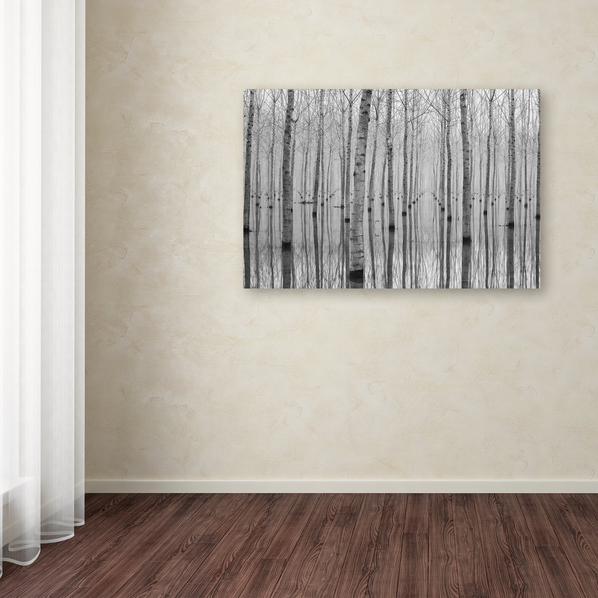 Trademark Fine Art 'Novembre 2014' Canvas Art by Aglioni Simone