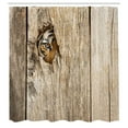 thumbnail image 2 of Ambesonne Savannah Shower Curtain, Siberian Wild Tiger Eye, 69"Wx70"L, Tan, 2 of 4