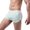 Mint Green, variant on 2026 New Men's Casual Plaid Print Boxers Breathable Cool Moisture Wicking Quick-Dry Shorts Mens Relaxed Fit Underwear