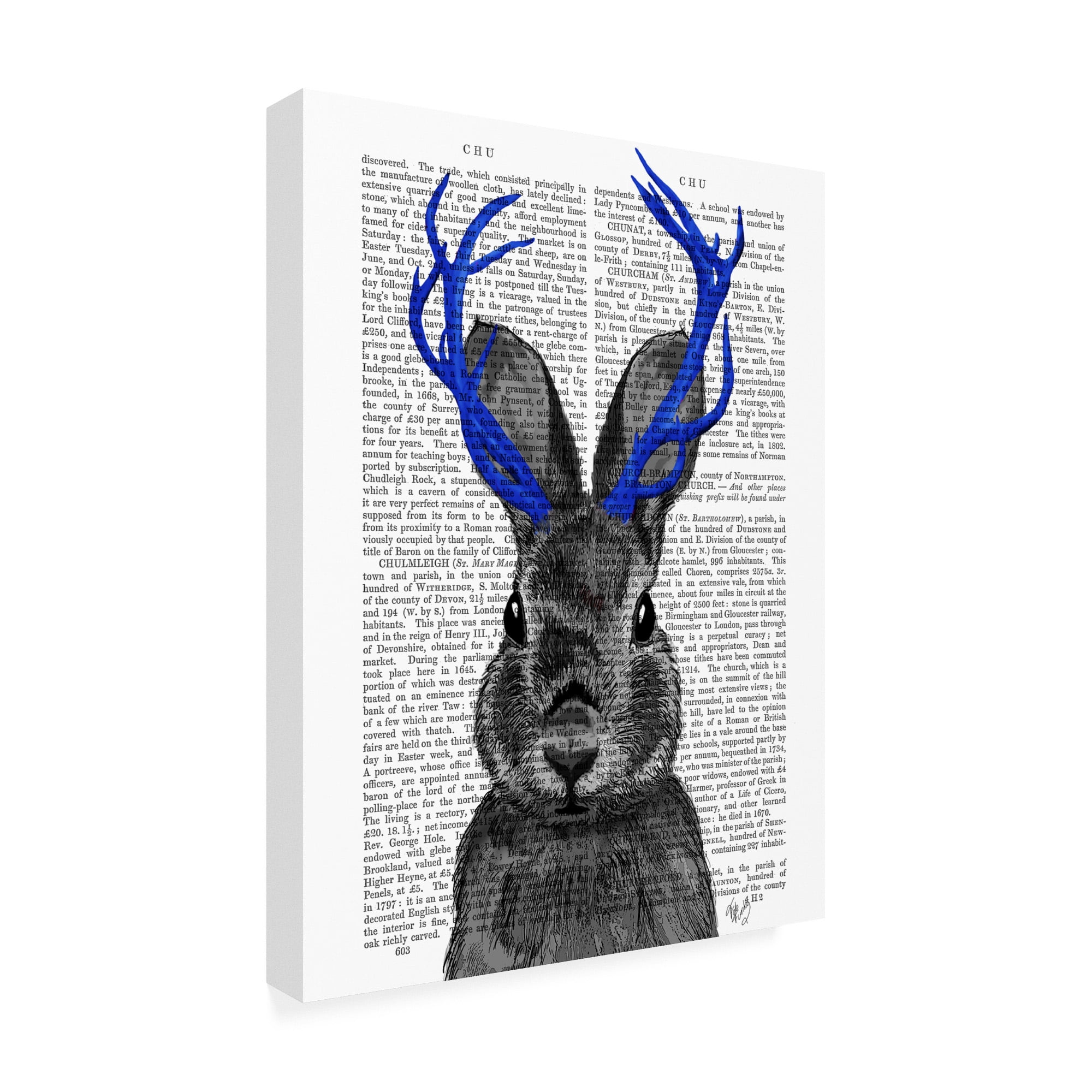 Trademark Fine Art 'Jackalope With Blue Antlers' Canvas Art by Fab Funky