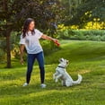 thumbnail image 4 of Pup Peroni Original Beef Recipe, Single Dog Treat, .5 Ounce Stick, 4 of 10