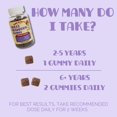 thumbnail image 2 of Gummy Mini Mushy's Organic Immune Support para niños de 2 años o más, 30 unidades, 2 of 8