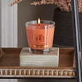 thumbnail image 3 of ROOT Candles Pumpkin Spice 6.3 oz Small Veriglass Jar, 3 of 4