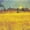Wheat Field At Sunset, variant on Elephant Stock Wheat Field At Sunset Wall Art - Horizontal Canvas Wall Art - Living Room Wall Decor - Nature Canvas - Yellow And Orange Decor By Vincent Van Gogh - 12" x 8"