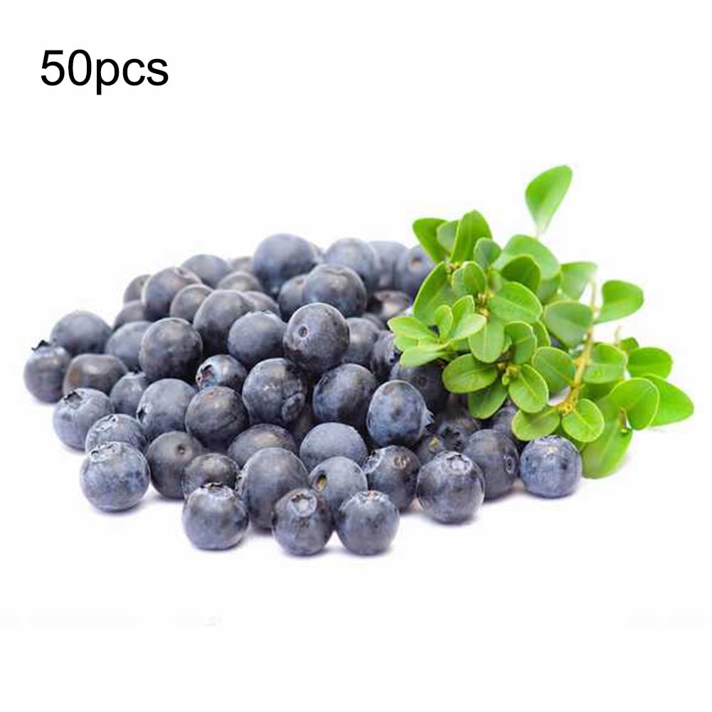 50pcs Artificial Blueberry Craft Fake Fruit Blueberries