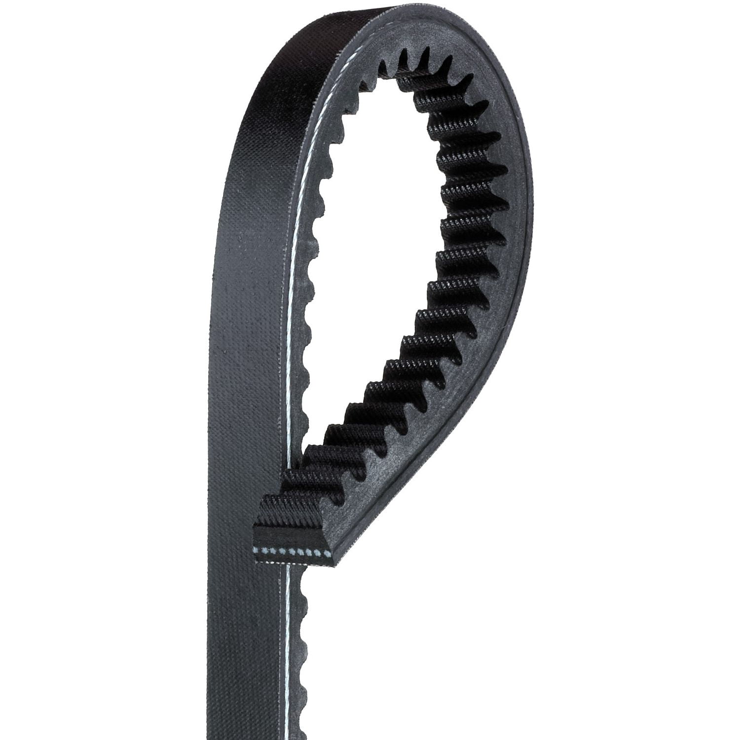Accessory Drive Belt