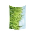 thumbnail image 2 of CADecor Wall Hanging Green Wheat Field Wall Tapestry Dorm Art Home Decor 40x60 inches, 2 of 2