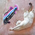 thumbnail image 3 of Interactive Cat Toy with Lifelike Motion for Stimulating Playful Curiosity and Entertainment, 3 of 6