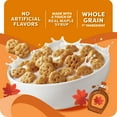 thumbnail image 3 of Kashi Breakfast Cereal, Whole Grain, Vegan, Maple Waffle Bites, 12.7oz Box, 3 of 5