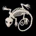 thumbnail image 2 of Decoración de Halloween Esqueleto de animal de Halloween perfecl, 2 of 8