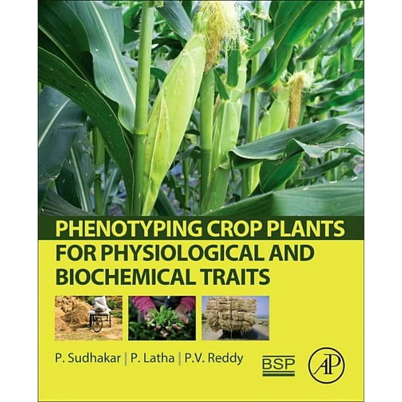 Phenotyping Crop Plants for Physiological and Biochemical Traits, (Paperback)