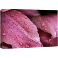 thumbnail image 3 of PixonSign Canvas Print Wall Art Pink Flower Petal Close-Up with Water Droplets Floral Wilderness Photography Realism Modern Colorful Multicolor Dark for Living Room, Bedroom, Office - 32"x48", 3 of 5