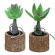 thumbnail image 1 of Mini plantas artificiales en macetas suculentas, adornos pequeños creativos para interiores, flores artificiales de plástico, 2 uds., 1 of 5