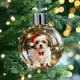 thumbnail image 1 of Adornos navideños de nieve para perros | Bola de cristal con figuras de cachorros con atuendo festivo | Varias razas, incluyendo pastor alemán, chihuahua, maltés y corgi | Adorno navideño para árbol, 1 of 6