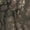 Realtree Timber®, variant on DSG Outerwear Women's Ultralightweight Camo Hunt Shirt Realtree APX 2XL