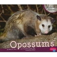 thumbnail image 1 of Pre-Owned Opossums (Pebble Plus: Nocturnal Animals) (Unknown) 142965287X 9781429652872, 1 of 1