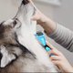 thumbnail image 4 of Cepillo para perros, cepillo para gatos, peine para eliminar el pelo de mascotas, rastrillo de aseo: elimina el pelo muerto y los nudos, desenredante profesional para pelo largo/corto., 4 of 5
