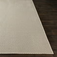thumbnail image 3 of Surya Breeze Polypropylene 2' X 3' Rectangle Area Rugs BRZ2308-23, 3 of 7