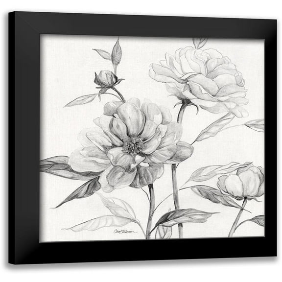 Robinson, Carol 12x12 Black Modern Framed Museum Art Print Titled - Linen Peony Sketch I