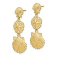 thumbnail image 2 of FB Jewels 14K Yellow Gold Scallop Sand Dollar and Scallop Dangle Earrings, 2 of 3