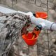 thumbnail image 2 of 5 uds tazas de agua para aves de corral comedero para pájaros bebedero automático de plástico para ganado gallinero gallinero arco de alimentación tazas para bebedero de pollos TUNC Sencillez, 2 of 5