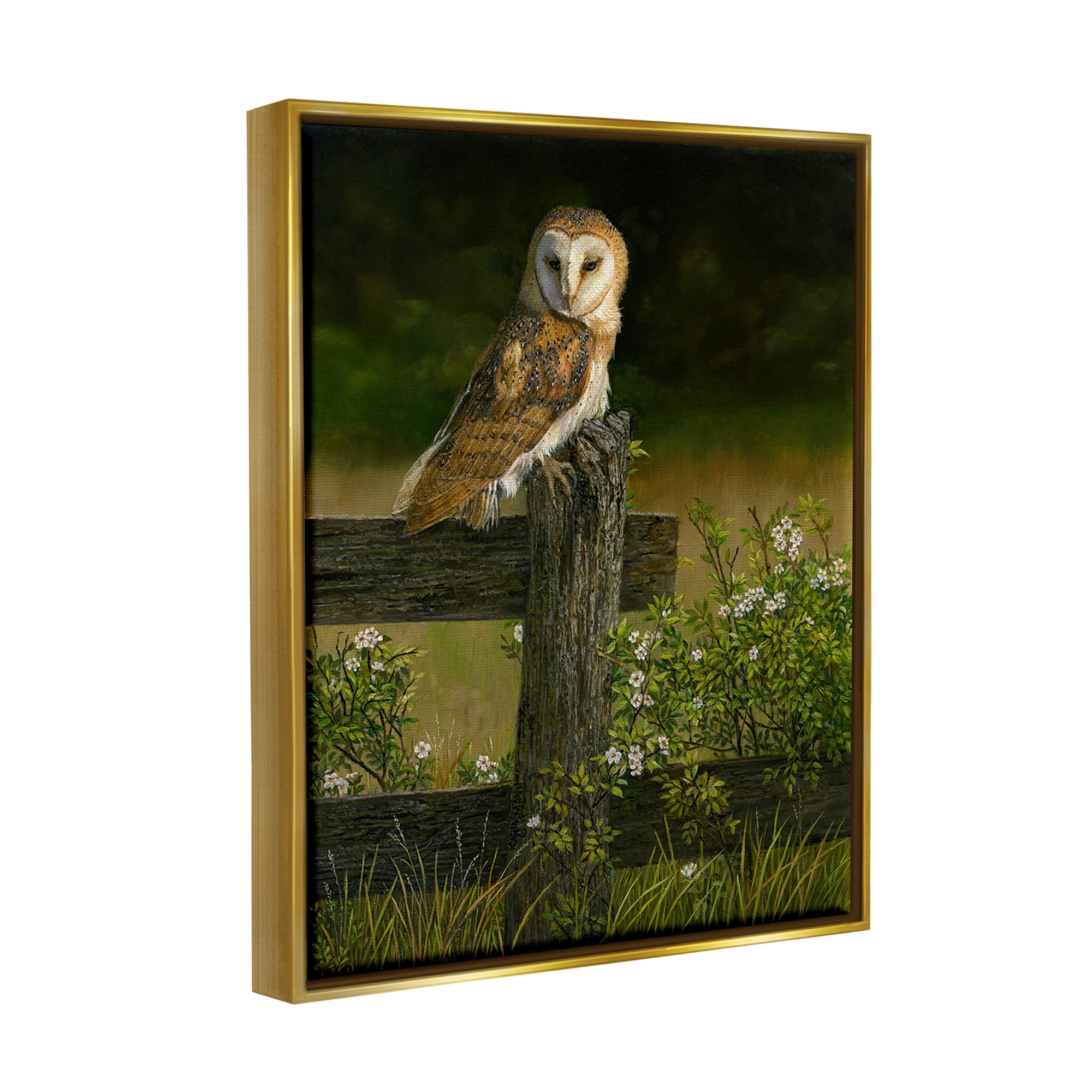 Stupell Industries Barn Owl on Fence Animals & Insects Painting Gold Floater Framed Canvas Art Print Wall Art, 25 x 31