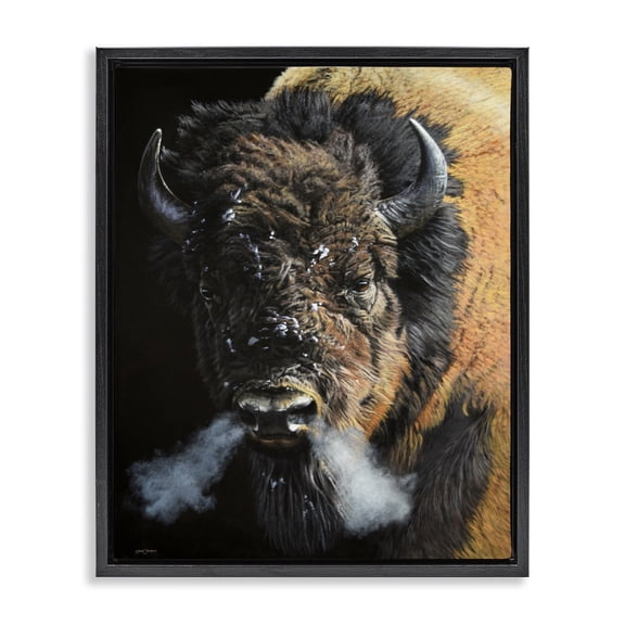Stupell Industries Southwestern Bison Breathing Steam Black Floating Frame Canvas Art, 17 x 21, by Steve Burgess