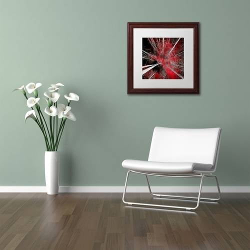 Trademark Fine Art "I Can't Believe It" Canvas Art by Philippe Sainte-Laudy White Matte, Wood Frame
