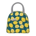 thumbnail image 1 of Disketp Lemon Bolsa Térmica para Almuerzo, Lonchera con Abertura Amplia y Gran Capacidad, Organizador Reutilizable para Mujeres, Hombres y Adultos, 1 of 6