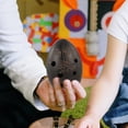 thumbnail image 4 of Practica Ocarina 8-Holes Ocarina Kids Musical Instrument Portable Beginner Ocarina, 4 of 5