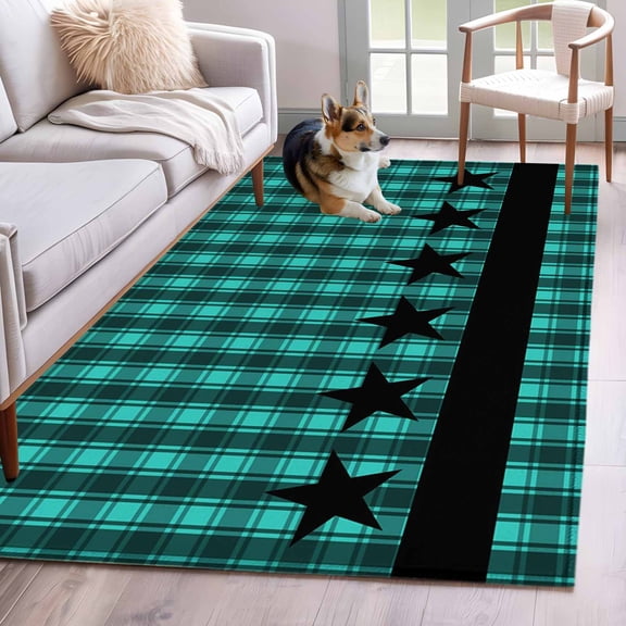 Area Rug for Living Room, Teal Black Plaid Non-Slip Indoor Large Carpet for Bedroom/Dining Room, Farmhouse Retro Star Abstract Checked Low-Profile Rectangle Floor Mat Runner Rugs - 2.7 x 5 Ft